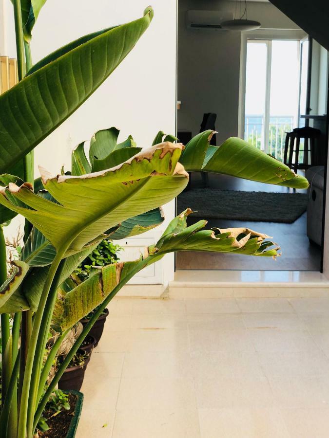 Nettuno Apartment Галиполи Екстериор снимка